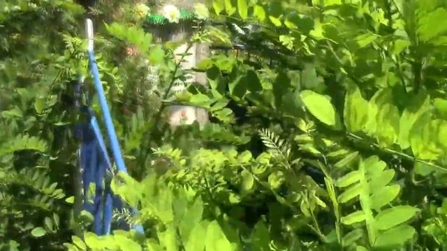 Патриотическое воспитание молодежи смотреть онлайн