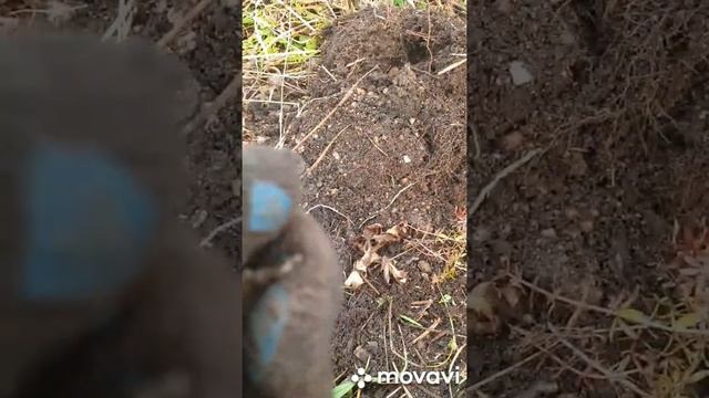 20 октября 2020 г. смотреть онлайн