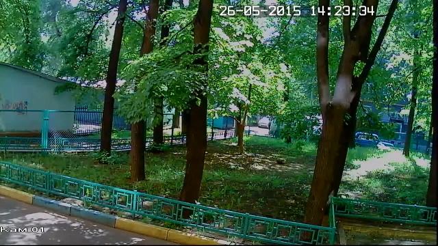 Пример записи изображения в комплектах видеонаблюдения AHD Video Control VC-4SD5A-HD, день, улица смотреть онлайн