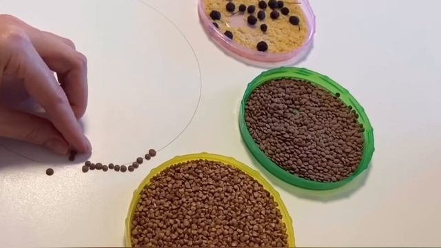 Магическая мандала смотреть онлайн