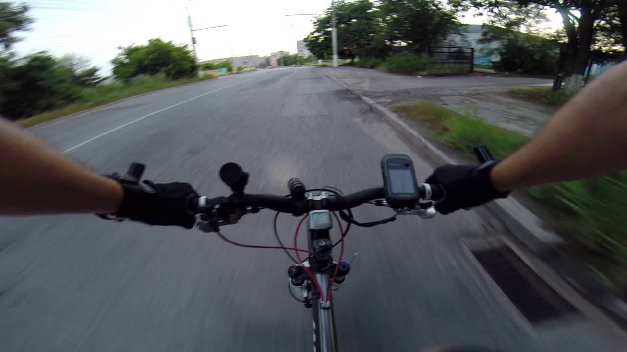 Волгоград на велосипеде - тренировочные собаки 30.06.2016