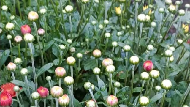 Часть 2 ???️ повести "Когда происходят чудеса". Уроки веры. Христианские рассказы смотреть онлайн