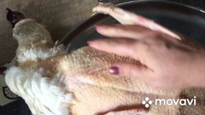 В каком возрасте убирать Гусей на мясо