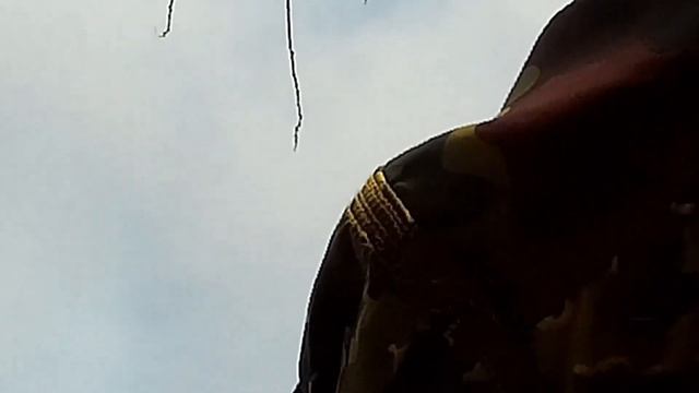Манки на гусей, материал дерево цена плюс эффективность. смотреть онлайн