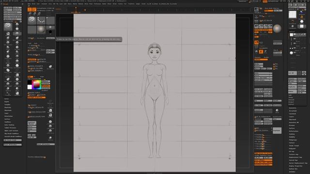 ZBrush TIPS : Plane Drawing with Custom Views and Transpose Line.