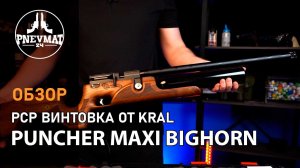 Пневматическая винтовка Kral Puncher Maxi Bighorn
