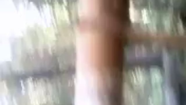 Как добыть кедровую шишку? смотреть онлайн