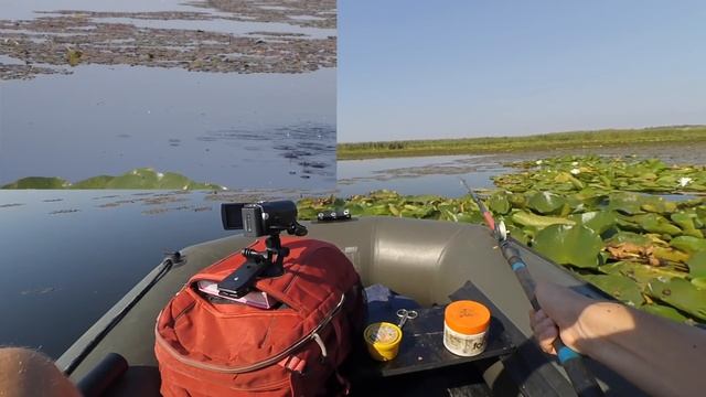 Ловля мирной рыбы на КУКУРУЗУ I озеро Орловское смотреть онлайн