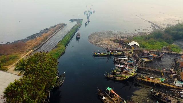 Top 8 Dutch Authors Of All Time Summarized (Dutch Literature For Beginners)