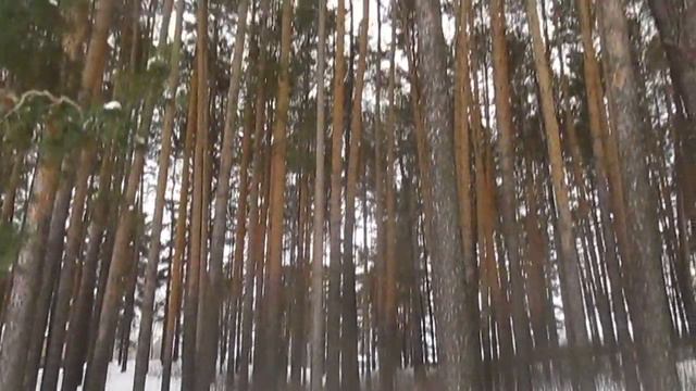Я по тебе тоскую Автор Азалия Жуланова музыка и поёт Яр Мазур online video cutter com смотреть онлайн