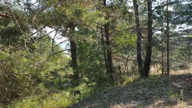 Влог.Едем в гости.Ремонт на даче.Устанавливаем дверь и наличники. Дачный влог.Мое утро смотреть онлайн