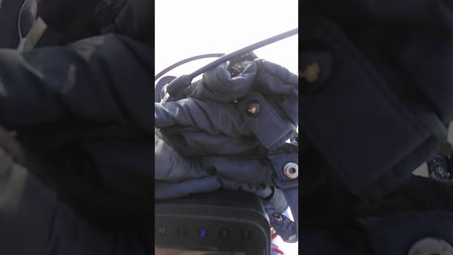 динго 125 на смотреть онлайн