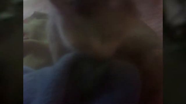 Смешные Котята)Смешные кошки - Funny cats - Animals :) смотреть онлайн