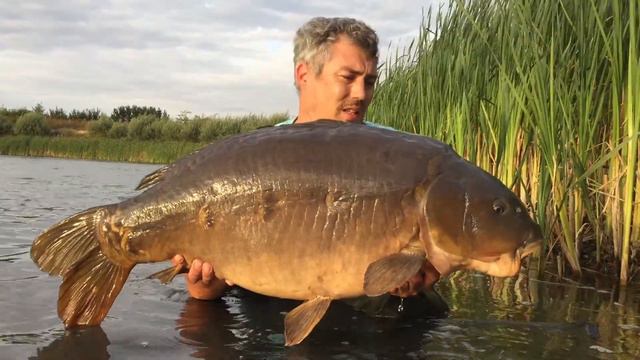 Another brace of uk40s for Kristian Morris смотреть онлайн