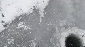 Обзор на водоеме подводной камеры Vieweye VET для зимней и летней рыбалки