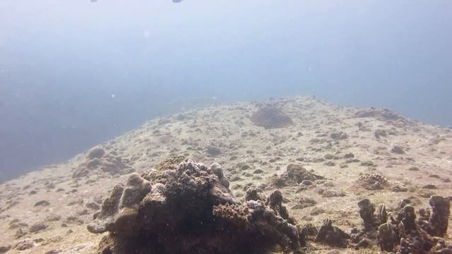 Дайвинг на Пхукете. Острова Рача смотреть онлайн