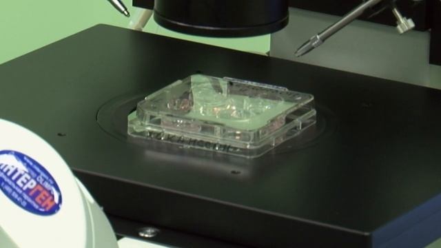 Клиника репродуктивной медицины и отделение эмбриологии смотреть онлайн