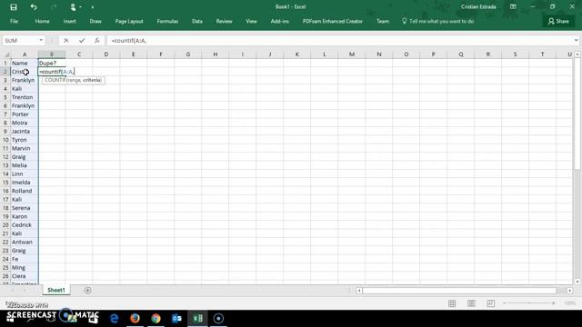 Finding Duplicates in Excel Using COUNTIF Formula смотреть онлайн