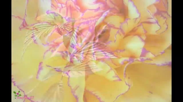 BALENCIAGA Флоработаника Парфюмированная Вода Спрей смотреть онлайн