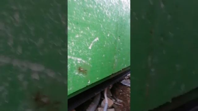 Ремонт фундамента дома винтовыми сваями за 1 день смотреть онлайн