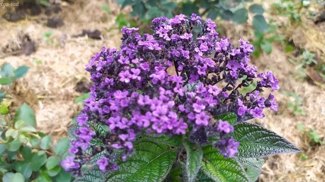 Строительные Планы