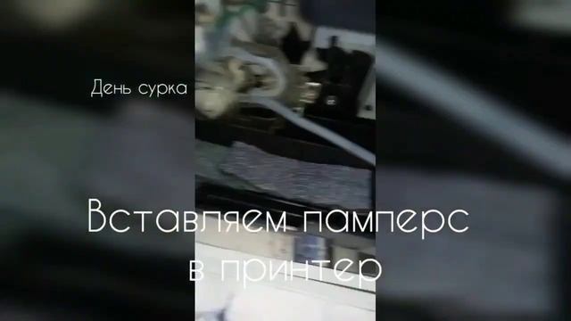 Меняем памперс принтеру Canon pixma MG3640 смотреть онлайн