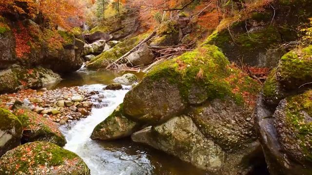 моцарт для сна | моцарт лучшее | Фортепианные шедевры и самые известные шедевры Моцарта ?? смотреть онлайн