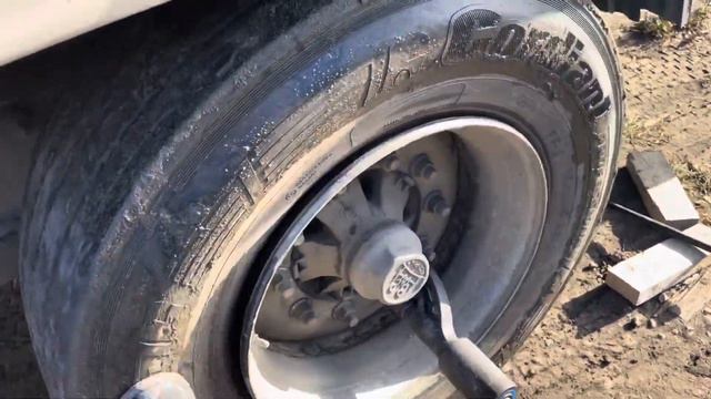 Один геморрой ! смотреть онлайн