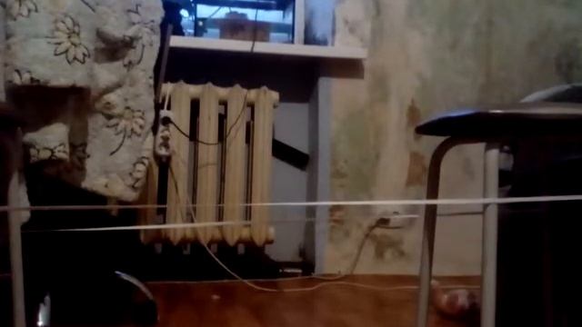 Неожиданно скрытые камеры((((( смотреть онлайн
