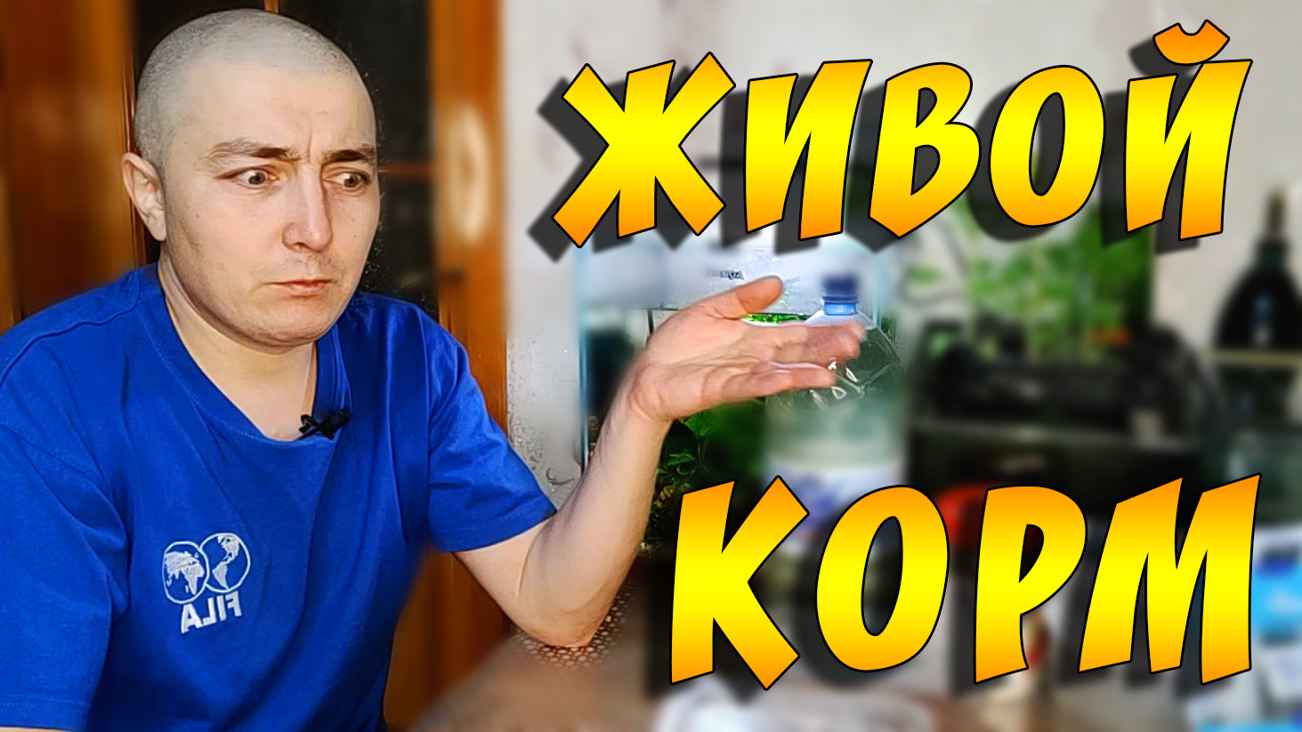 Как я содержу АУЛОФОРУС! смотреть онлайн