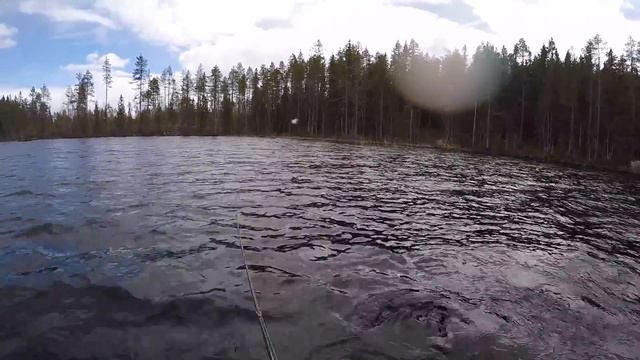 Очередной трофей. Утопил спиннинг. Рыболовный трип 6ой день смотреть онлайн