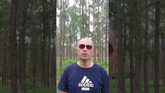 Поэзия. Счастье. Незнакомка. смотреть онлайн