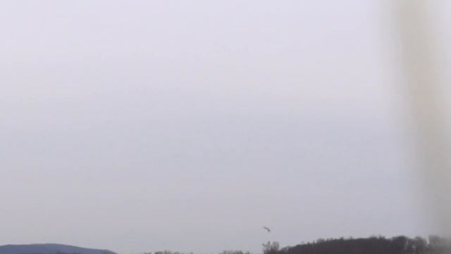 Gyrfalcon female takes Canada goose смотреть онлайн