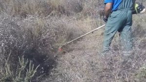 Косим сухую траву.