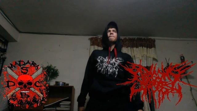 MADARA Begging For Incest - Bashed Eyond Recognition (Vocal Cover) смотреть онлайн