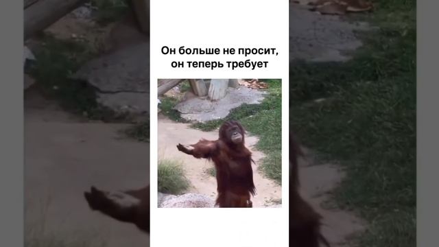 Дала быстро эу смотреть онлайн