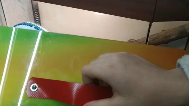 Как сделать Террариум для Реснитчатого Геккона ( Бананоеда ) Рея продолжение 2 часть смотреть онлайн