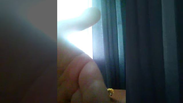 Мой паук мёртв :( смотреть онлайн