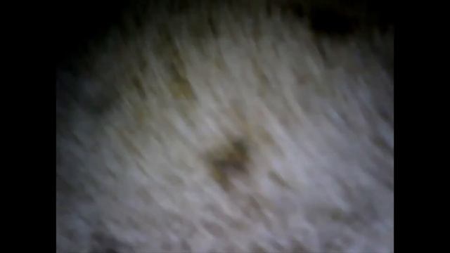 Как восстановить ржавый бензобак смотреть онлайн