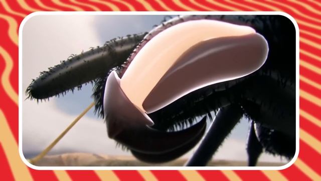 Вот на Что Способен Самый Опасный Паук в Мире.mp4 смотреть онлайн