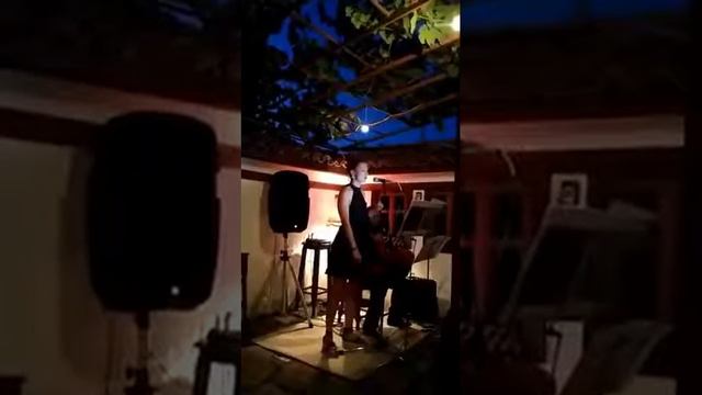 Chat-Mikrophone et Accordéon /Котка, Микрофон и Акордеон смотреть онлайн