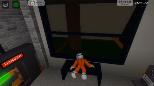 !Салли фейс 4 эпизод в Brookhaven RP! смотреть онлайн