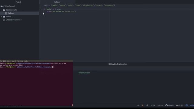 Python programming tutorial - List (Part 7) смотреть онлайн