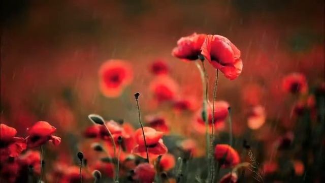 Всем добрый вечер  !!! Волшебные слова ЧАЙ ,КОФЕ, ДОБРО,  ПРИВЕТ!