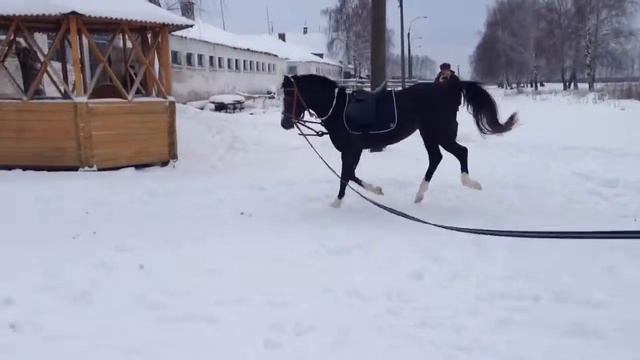 Красавец смотреть онлайн