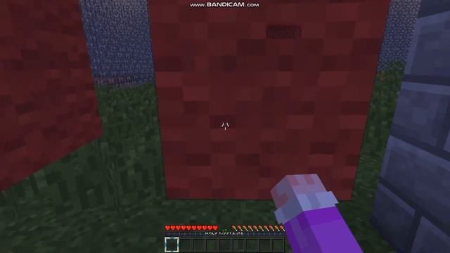 ВЫЖИВАНИЕ БОМЖА(Minecraft СЕРИАЛ) смотреть онлайн