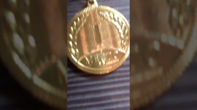 Много медалей и одна золотая статуэточка смотреть онлайн