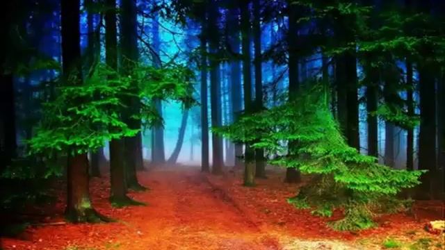 Красивая планета. Сказочный лес. смотреть онлайн