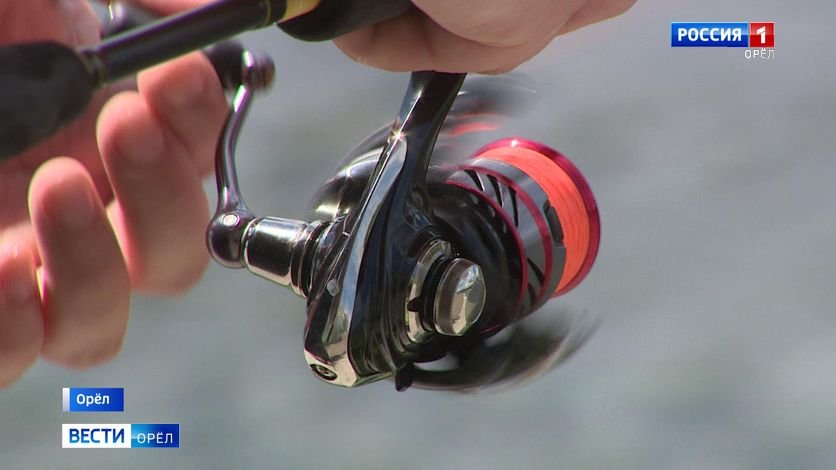 Орловские рыбаки-спортсмены завоевали награды кубка губернатора смотреть онлайн