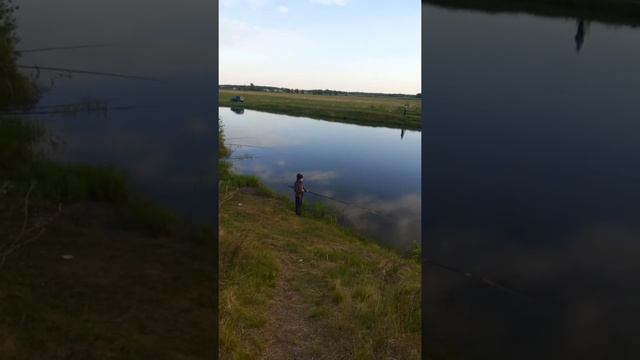 Почему мы не можем поймать рыбу смотреть онлайн